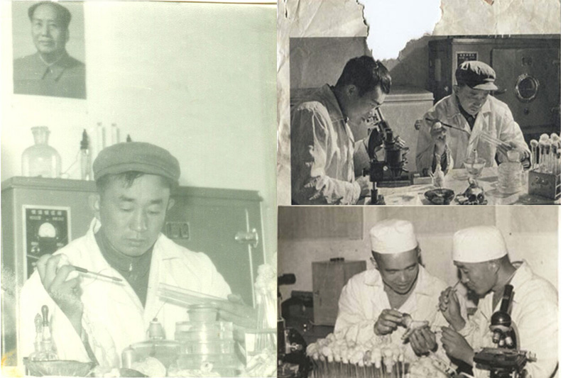 1961_(ki)W(xu)I(y)ص(ni)ɹ(dng)r(sh)ă(ni)ɹx(chng)W(xu)̌W(xu)о׺߀ǿհˣ(dn)ؓ(f)˄(dng)W(xu)x(chng)W(xu)Ľ̌W(xu)΄(w)aֹյČ(sh)(yn)(sh)(yn)     