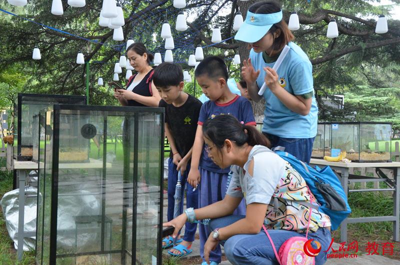 圖為工作人員向家長和孩子講授昆蟲習(xí)性 王子文/攝