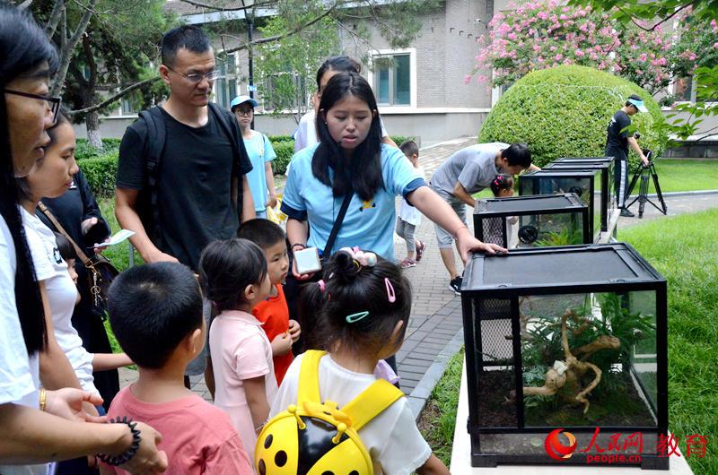 圖為工作人員向家長(zhǎng)和孩子講授竹節(jié)蟲習(xí)性 王子文/攝