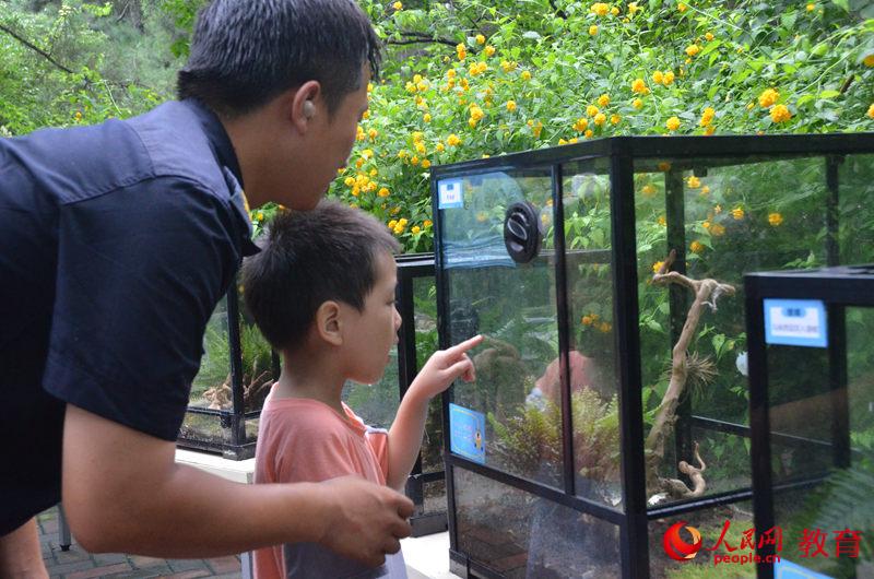 圖為家長(zhǎng)引導(dǎo)孩子尋找螳螂 王子文/攝