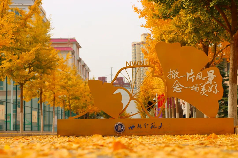 W(xu)֪У^(q)ﾰһz