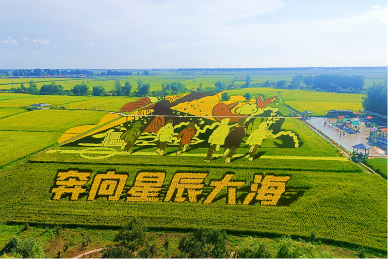ﮋǳЇW(xu) \z