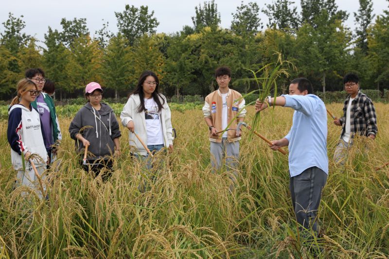北京農(nóng)學(xué)院舉行“大手拉小手，共繪豐收景”秋收節(jié)活動(dòng)。校方供圖