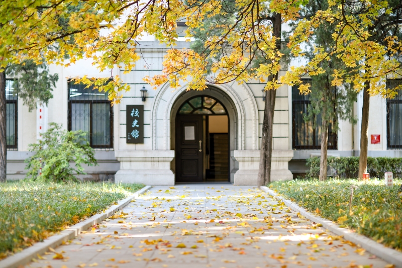 北京科技大學(xué)校史館前，金黃的銀杏裝點校園。王占奎攝