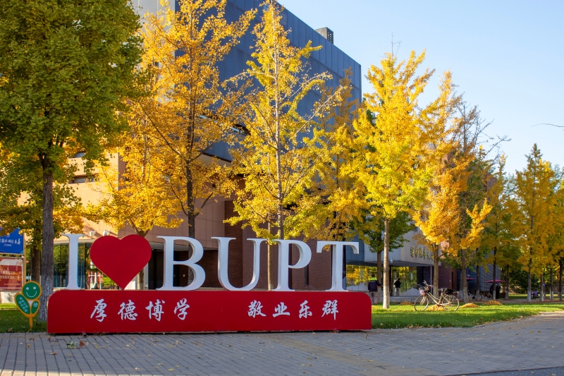 北京郵電大學(xué)沙河校區(qū)，金黃的銀杏樹葉裝點(diǎn)秋日校園。董慶森攝