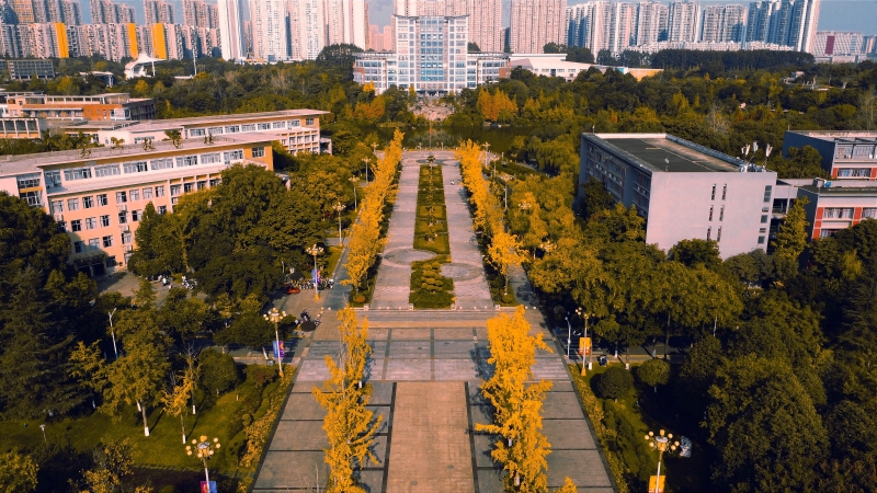 四川師范大學成龍校區(qū)秋意正濃。楊薦中攝