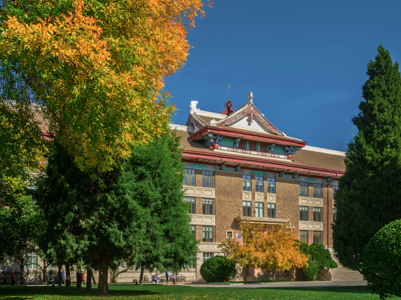 天津大學第九教學樓外，綠葉泛黃，秋意漸濃。黃維旻攝