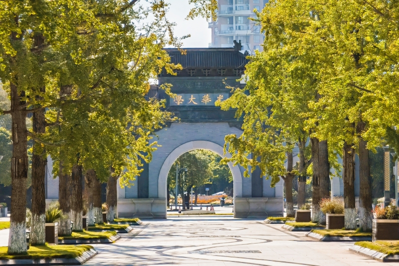 西南財經(jīng)大學光華大學門前,秋意氤氳。吳宇宸攝