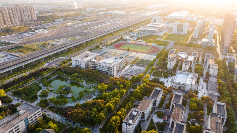 秋日的陽光灑進長安大學(xué)，為校園鍍上一層金色光暈。李金軍攝