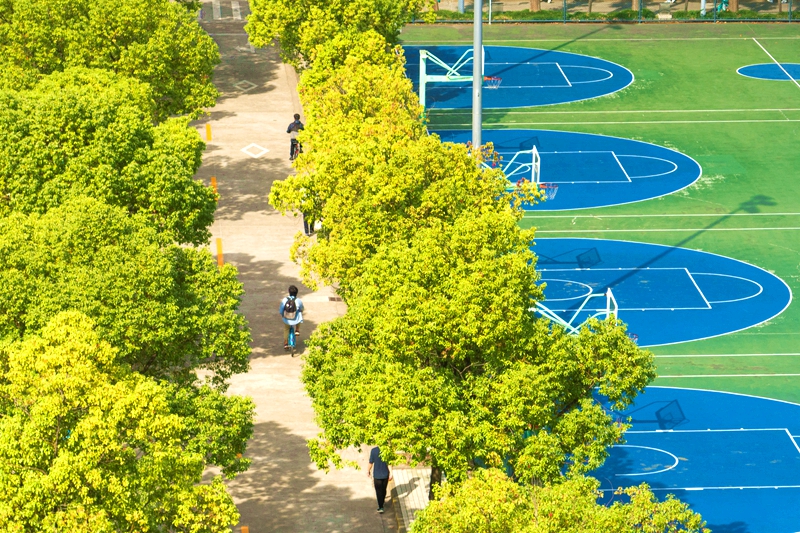 同濟(jì)大學(xué)校園里，天高云淡，秋色漸濃。周游攝