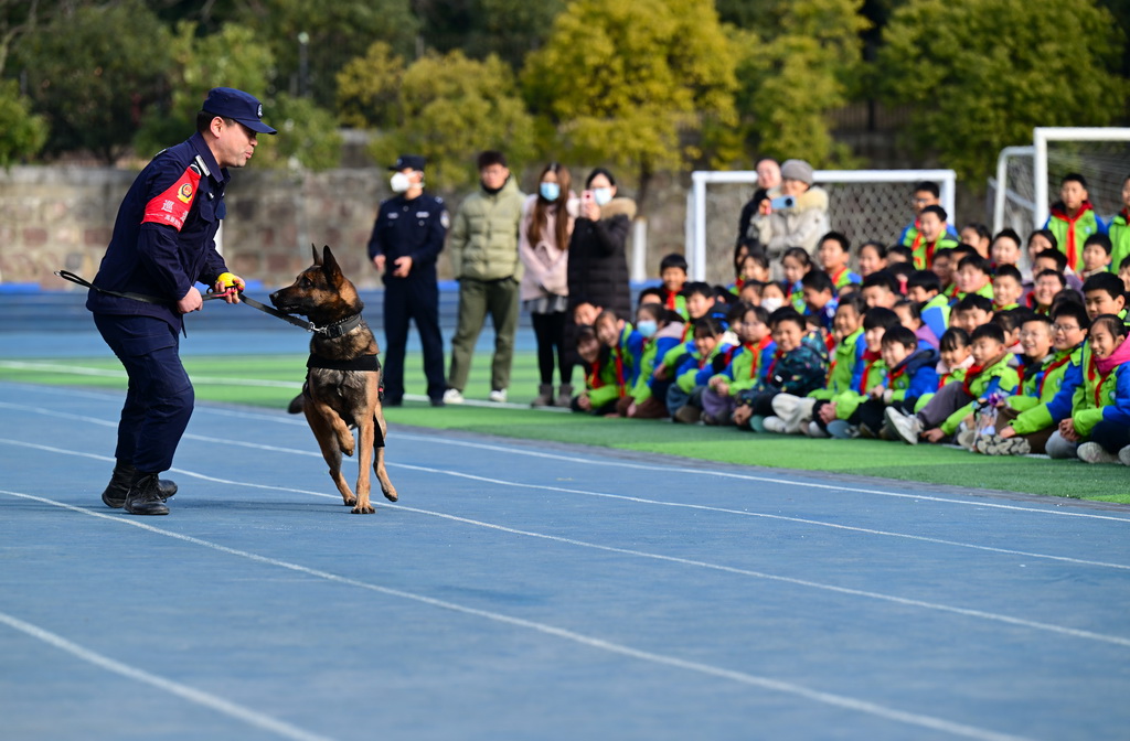 1月7日，小朋友在活動現(xiàn)場觀看警犬訓(xùn)練。