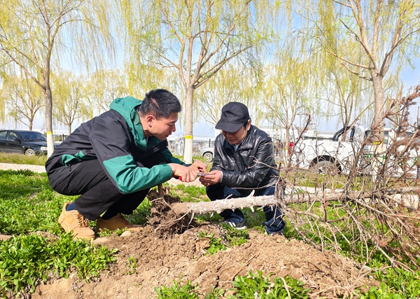 2024年4月11日，張卓文為博士研究生張平現(xiàn)場講授專業(yè)知識。