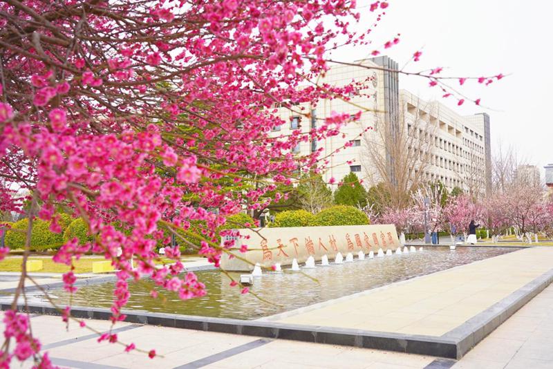 山東大學(xué)校園內(nèi)，紅梅盛開(kāi)，生機(jī)盎然。于芳菲攝