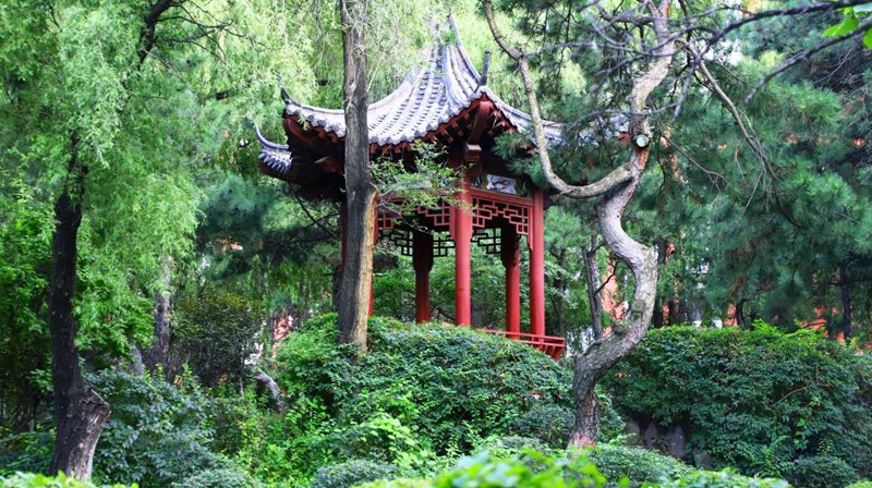 長春理工大學(xué)春意襲人，校園換上春裝。杜政磊攝