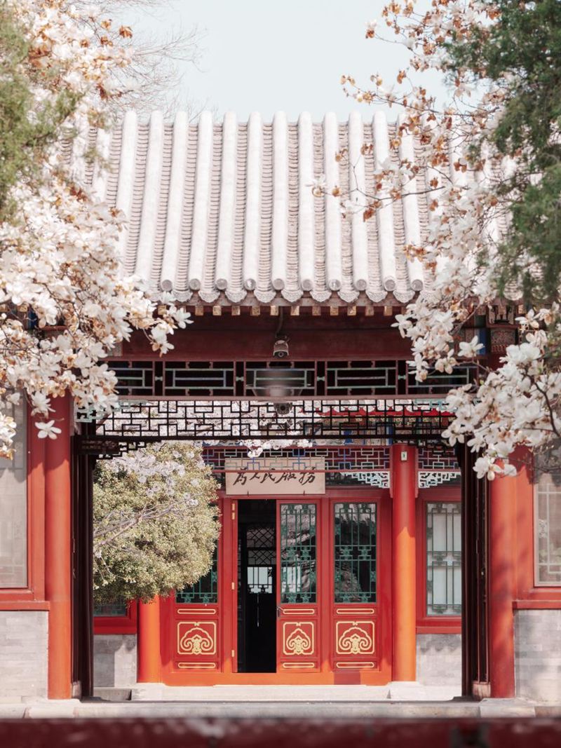 清華大學(xué)工字廳前，春意盎然。張兆基攝