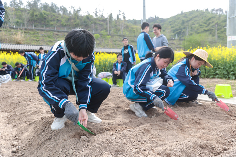 同學(xué)們學(xué)習(xí)農(nóng)耕技能。校方供圖