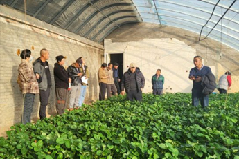 沃野田疇間書寫“三農(nóng)”答卷