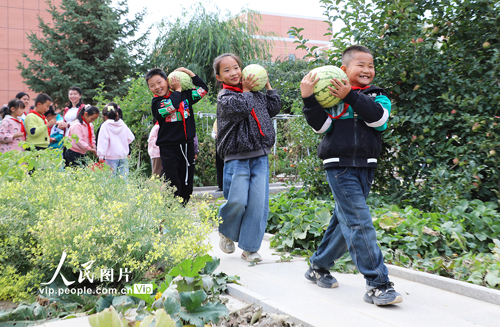 甘肅民樂：校園“豐收節(jié)”【6】