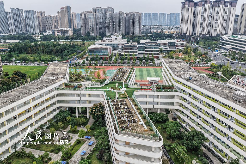 四川成都：校園“空中農(nóng)田”秋種忙【6】