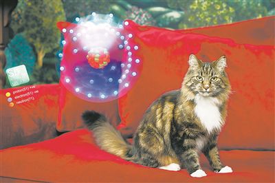 銻原子有8個(gè)不同自旋方向，其量子態(tài)的疊加比傳統(tǒng)量子比特更復(fù)雜。研究人員解釋說，銻原子就像有7條命的貓。圖片來源：澳大利亞新南威爾士大學(xué)