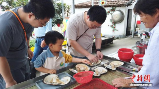 2025年6月，家長與孩子正在進(jìn)行開蚌取珠體驗(yàn)。曹丹 攝