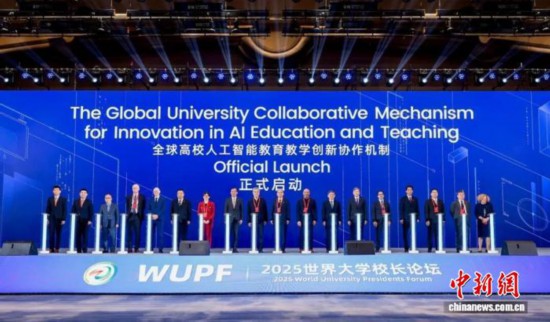 11月8日，論壇現(xiàn)場。(主辦方供圖)