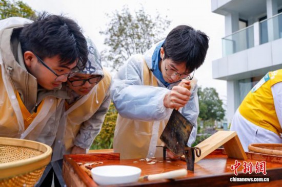 圖為選手在比賽中切白芍。中新社記者 肖健 攝