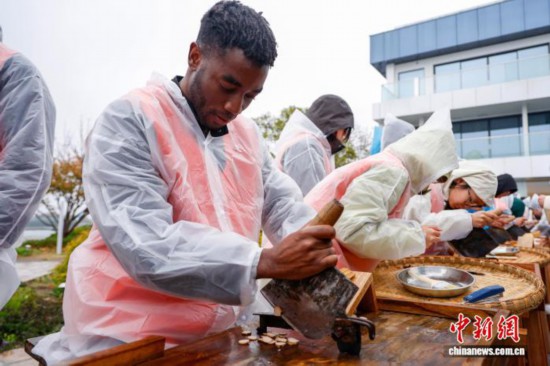 圖為國際選手在比賽中切白芍。中新社記者 肖健 攝